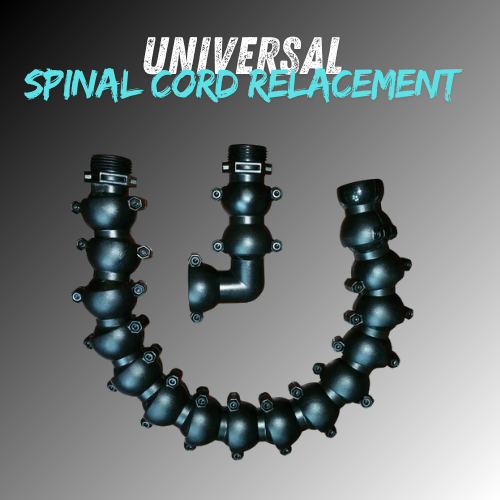 Universal Spinal Cord Replacement